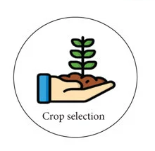 Crop selection